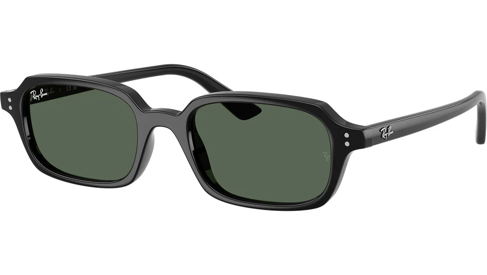 Ray-Ban RB4455 667771 Güneş Gözlüğü