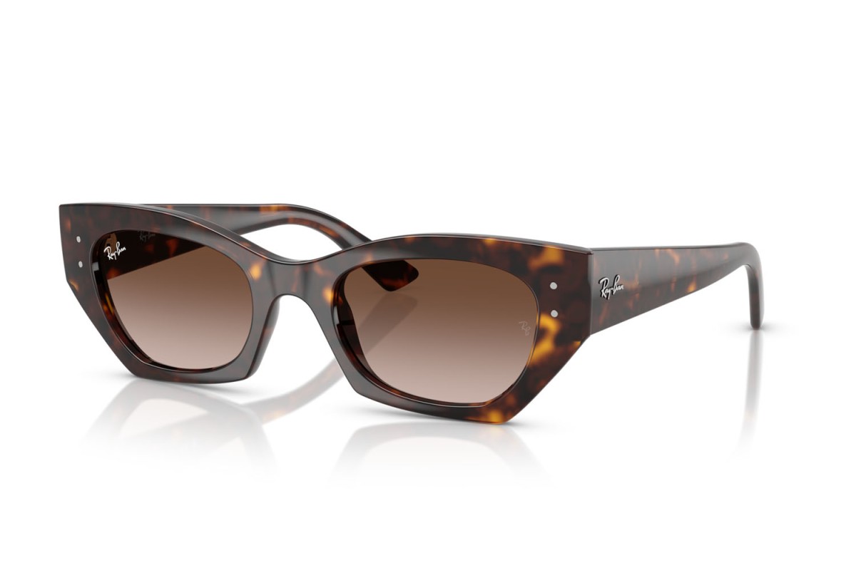 Ray-Ban Zena RB 4430 (135913) Güneş Gözlüğü