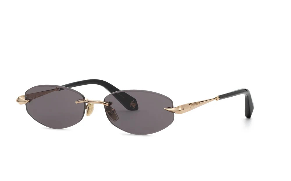 roberto cavalli src207 col.0300